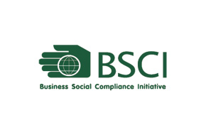 Business Social Compliance Initiative